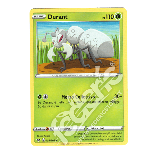 008-202 Durant Rara (IT) - MINT