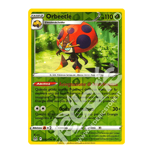020196 Orbeetle Rara Reverse (IT) MINT » Federicstore