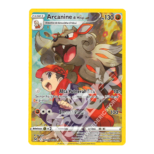224-196 TG08-TG30 Arcanine Trainer Gallery (IT) - MINT