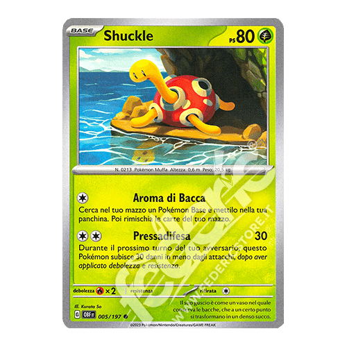 005-197 Shuckle Comune (IT) - MINT