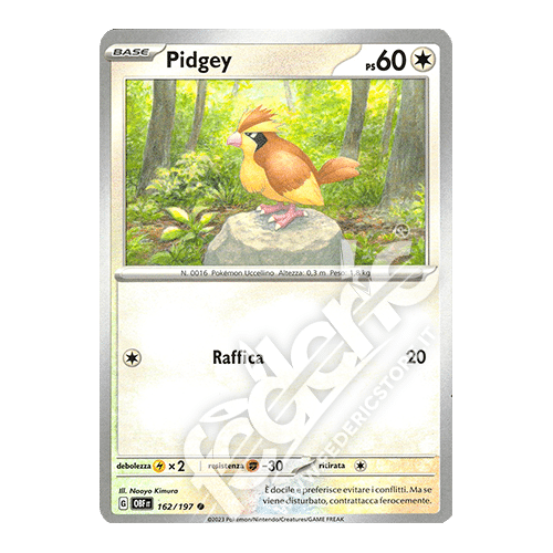 162-197 Pidgey Comune (IT) - MINT