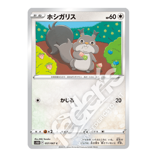 057-067 Skwovet Comune (JP) - MINT