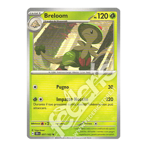 007-162 Breloom Comune (IT) - MINT