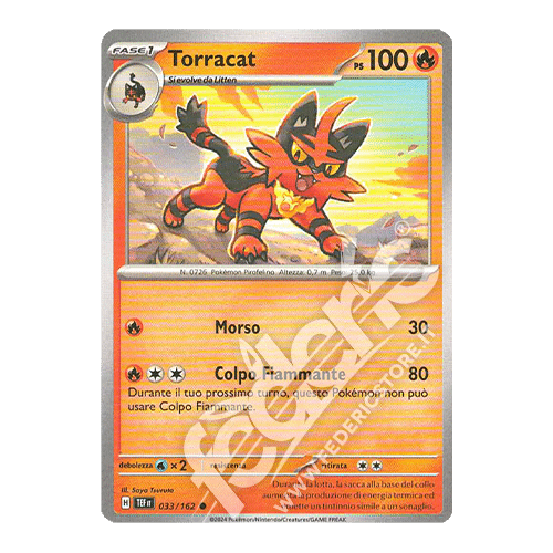 033-162 Torracat Comune (IT) - MINT