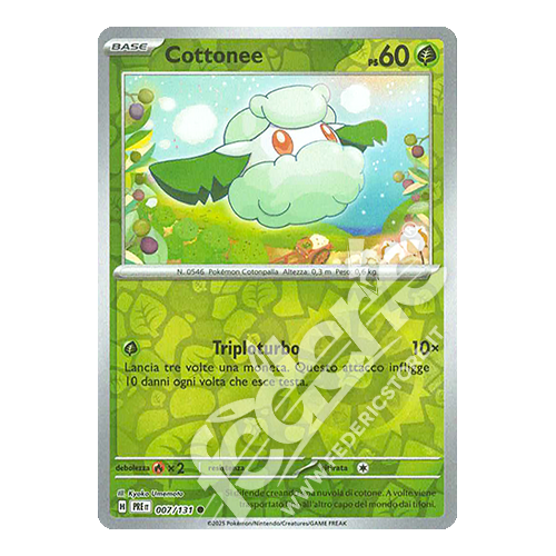 007-131 Cottonee Comune Reverse (IT) - MINT